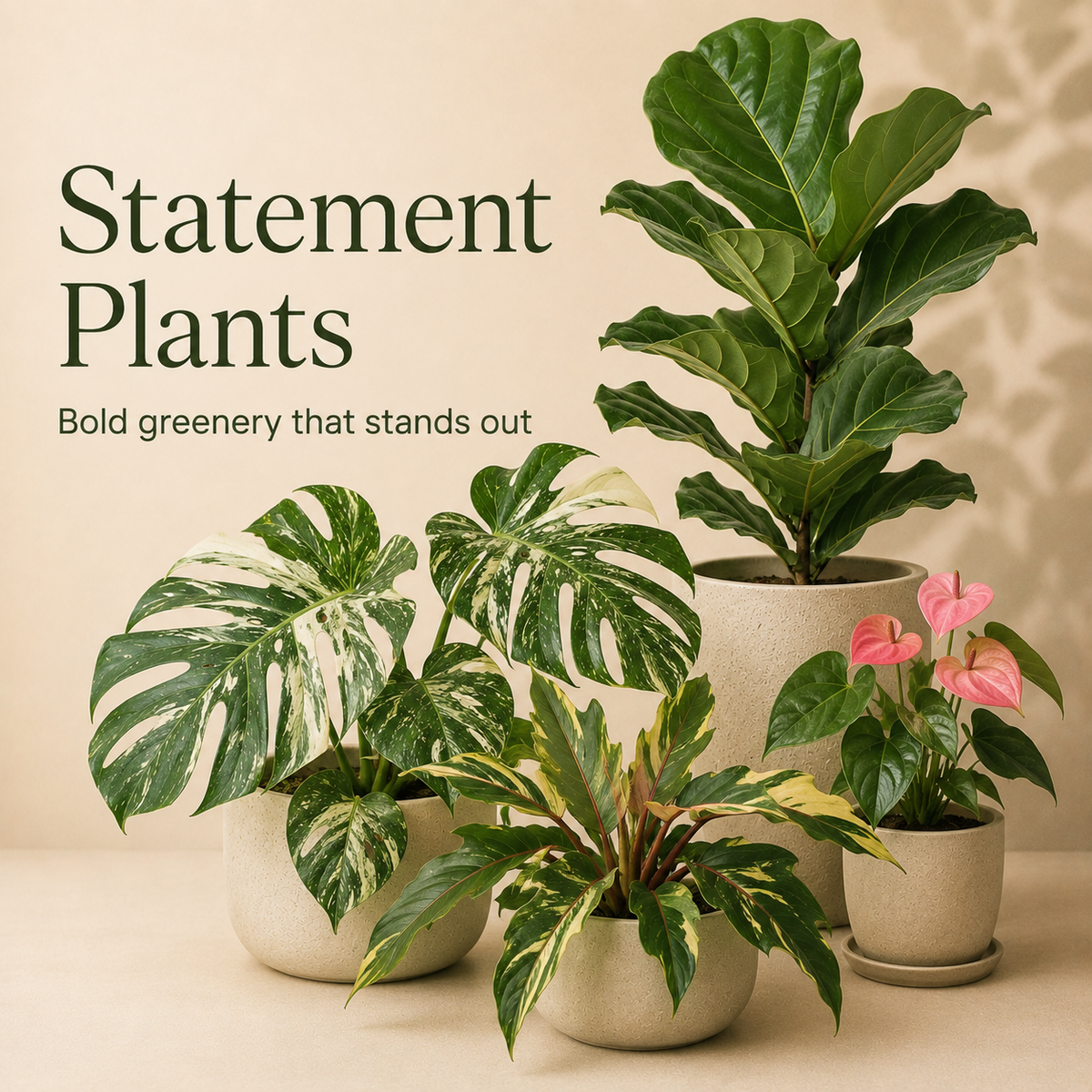 Statement Plants