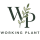 Working Plant - Home